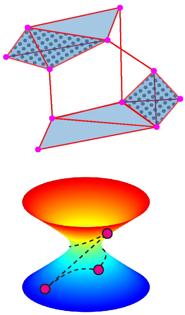 High-dimensional data geometry, topology, simplicial complex, hyperboloid, manifold, curvature, geodesic, holonomy, diffeomorphism, homeomorphism, deformation retract, algebraic variety scheme, polytopes